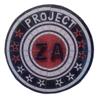 Beads and Wire customer made project